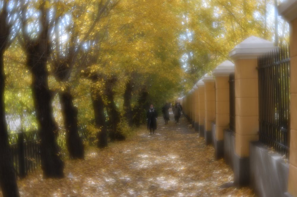 Photograph by Tatyana