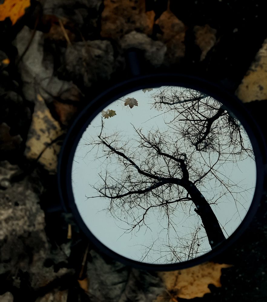 Photograph by Оксана Корепанова