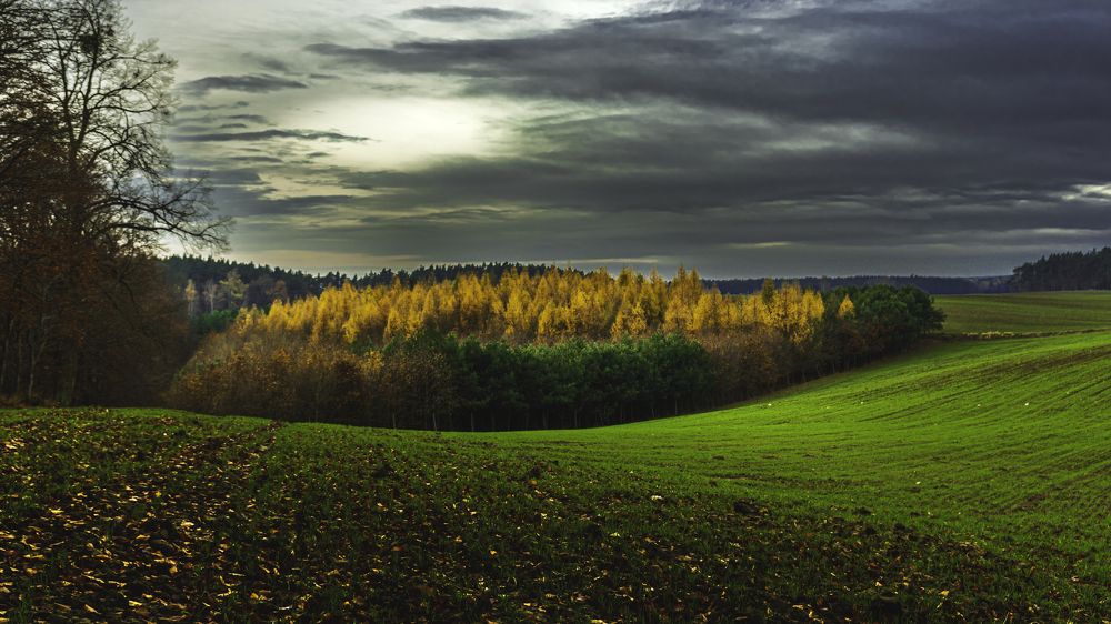 Фотография автора Marek Hausmann