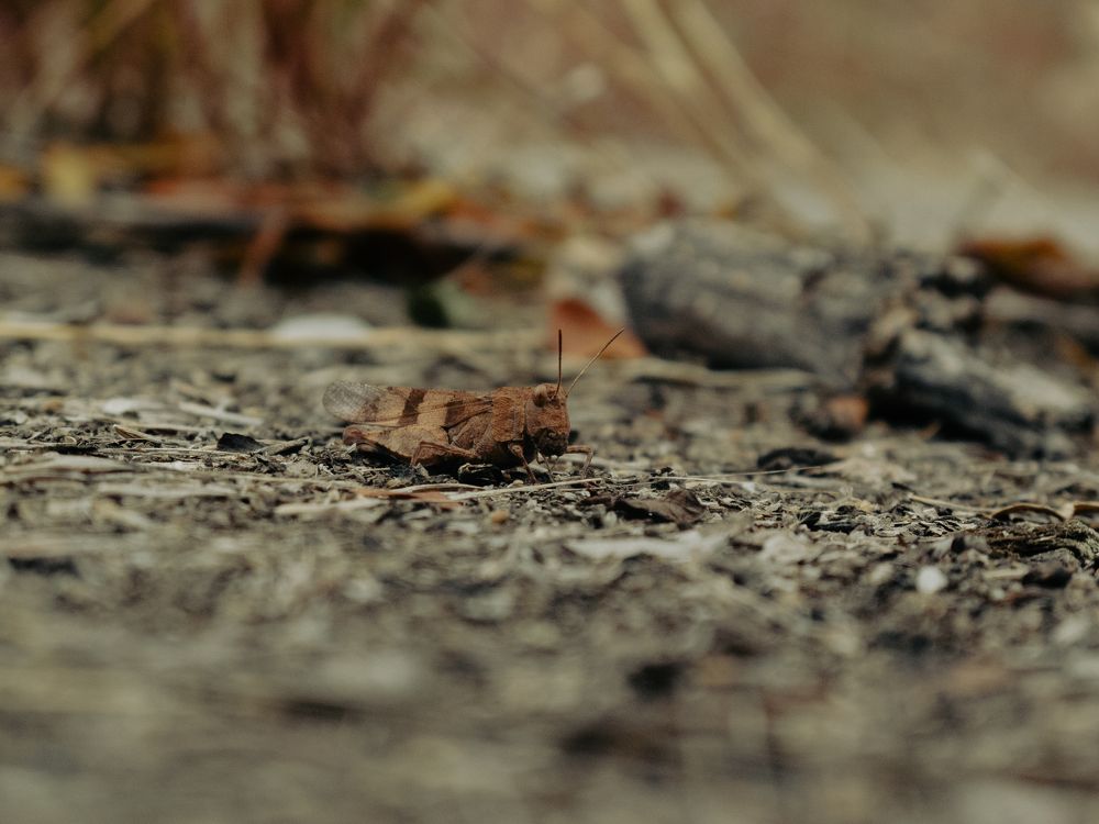 Photograph by Станислав Кунецкий