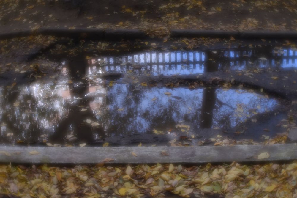 Photograph by Tatyana