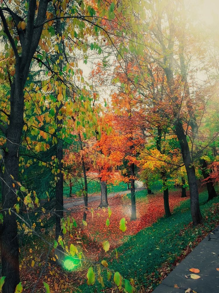 Photograph by Дарья Паранина