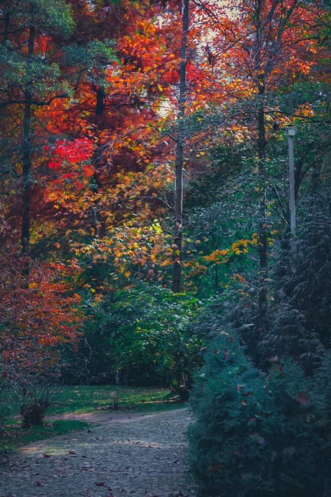 Photograph by Дарья Паранина