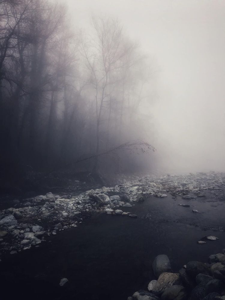 Photograph by Nunu Gambashidze