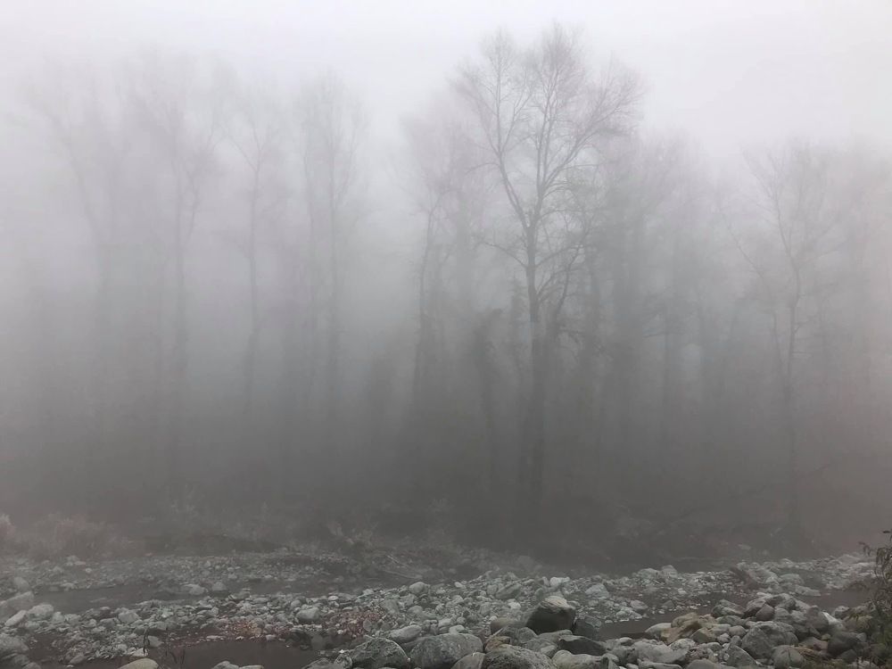 Photograph by Nunu Gambashidze