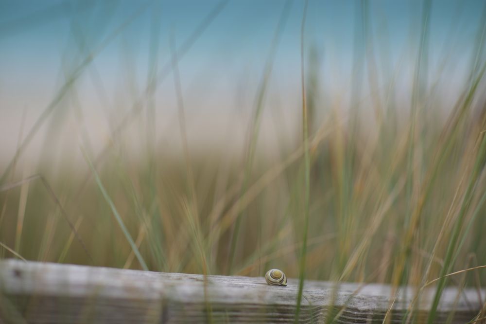 Фотография автора Max Garchette