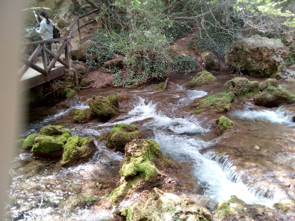 Photograph by Dragana Joksić
