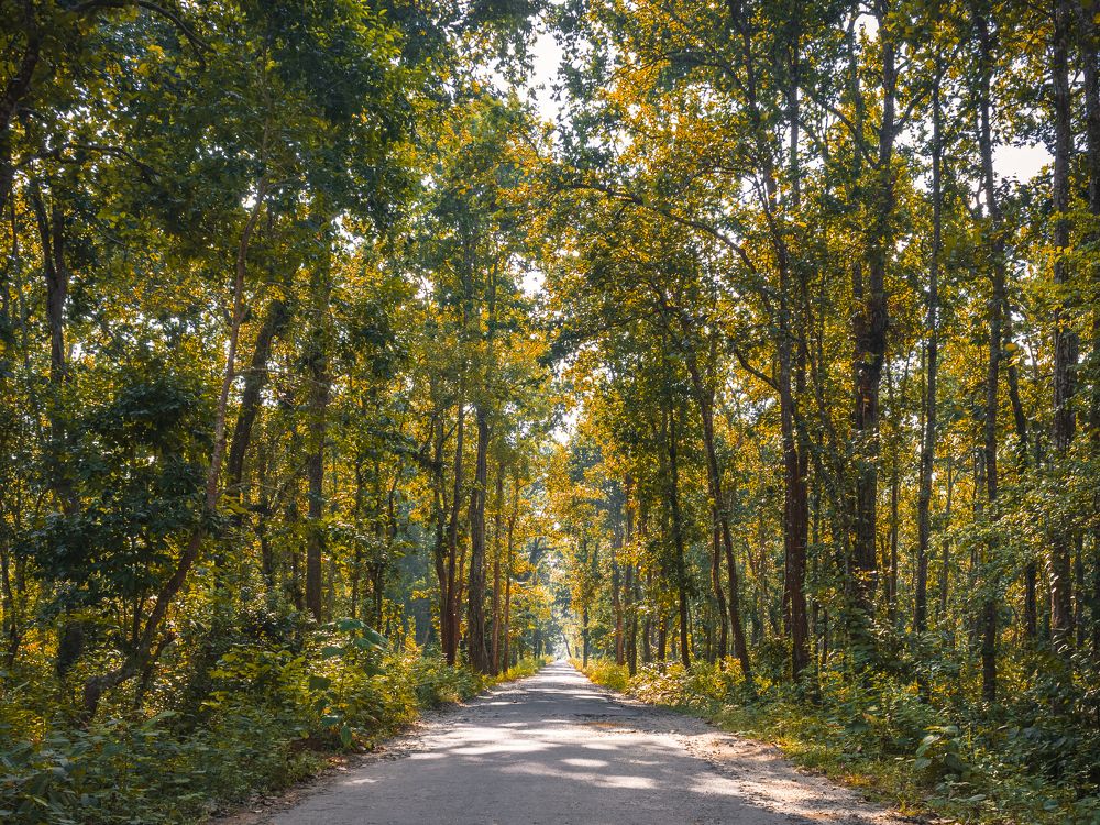 Photograph by Souradeep Chakraborty