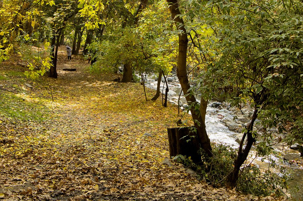 Photograph by Mohsen Khani