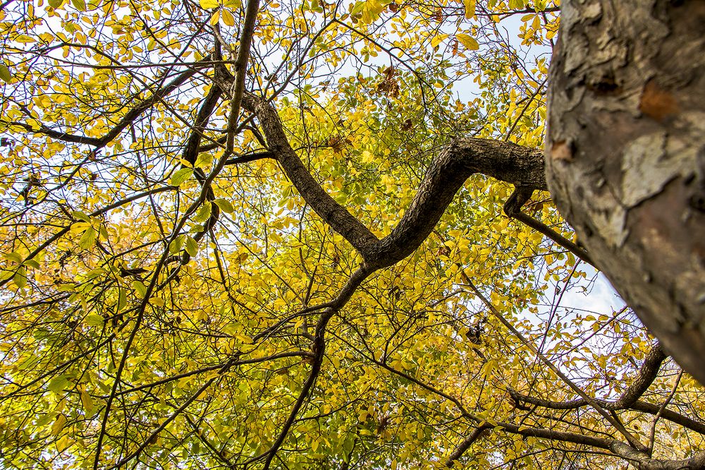 Photograph by Mohsen Khani