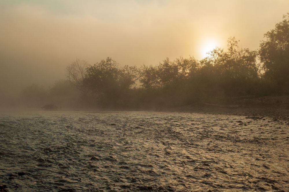 Photograph by Денис Кичев