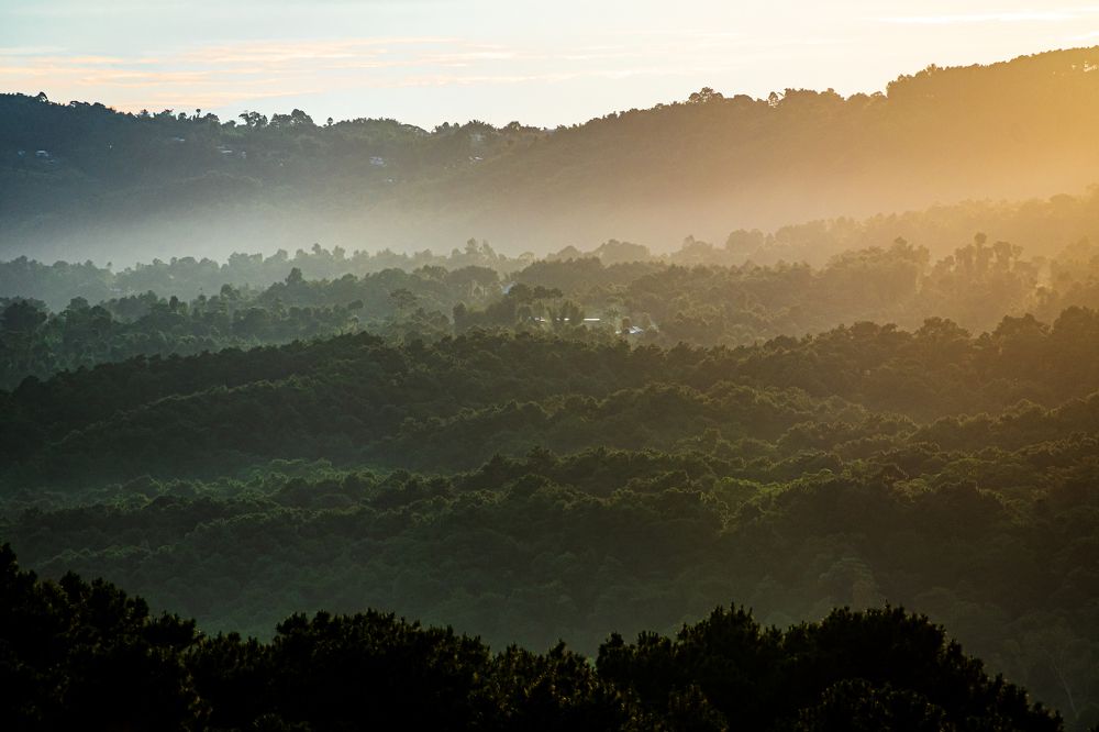 Photograph by Souradeep Chakraborty