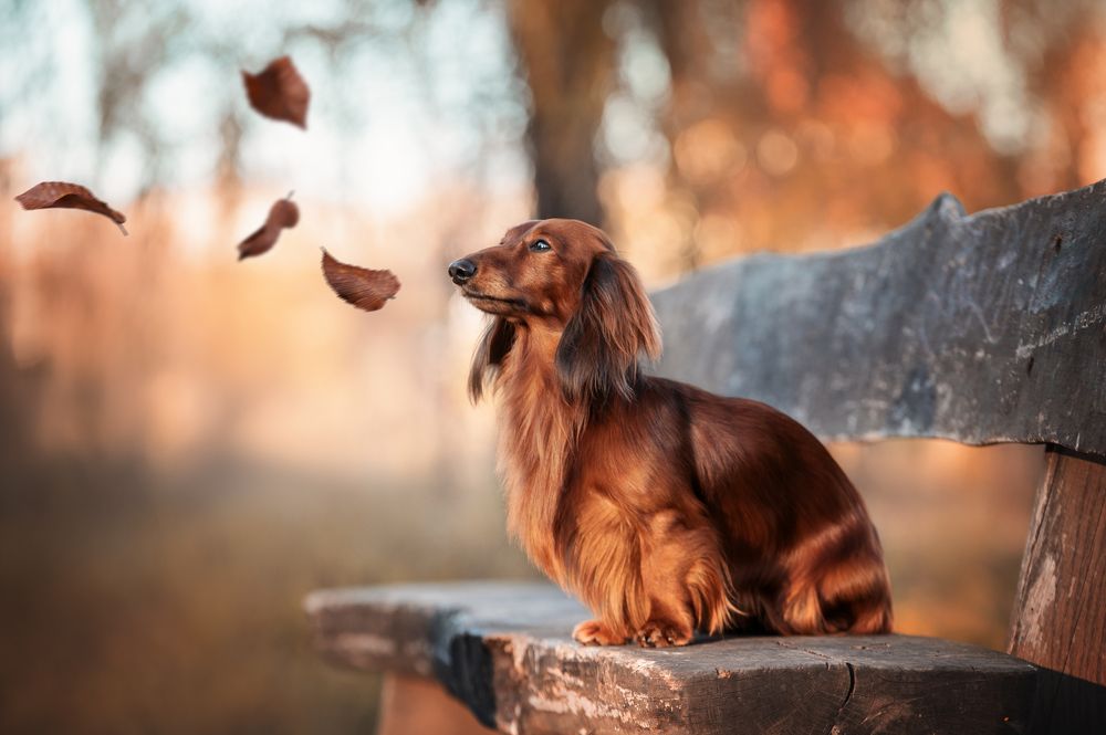 Photograph by Кристина Чижмар