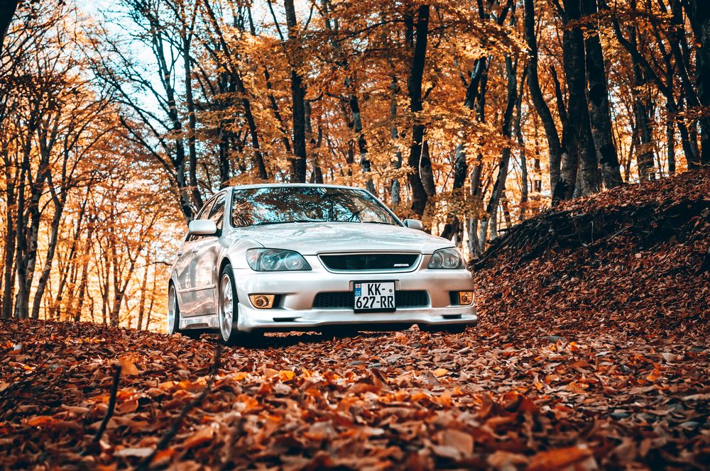 Ellie in Sabaduri forest