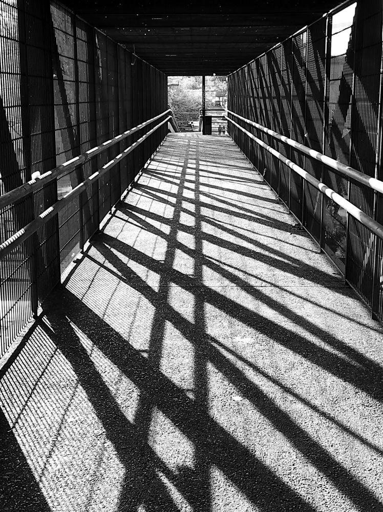 Photograph by Elena Novikova