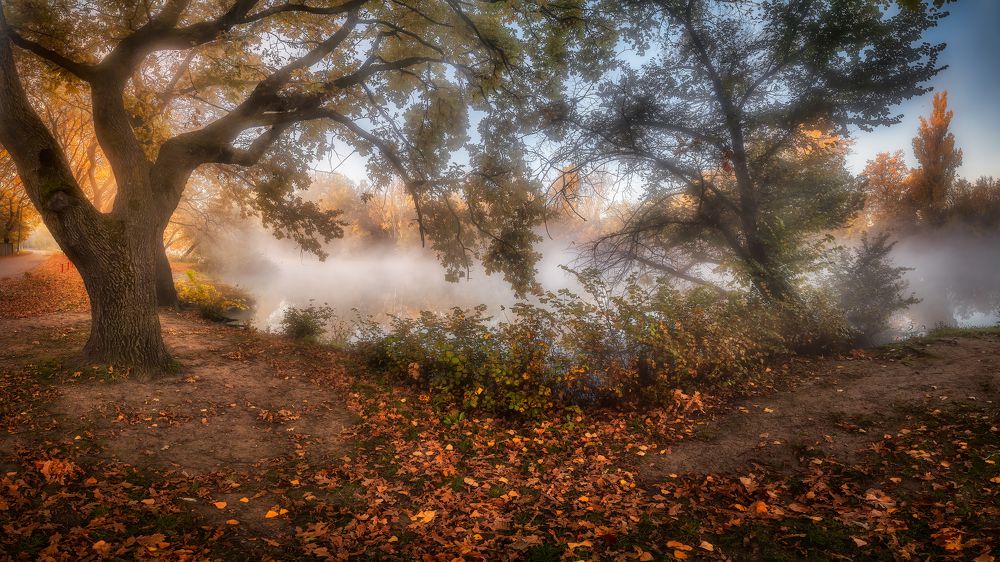 Photograph by Alexander Plekhanov