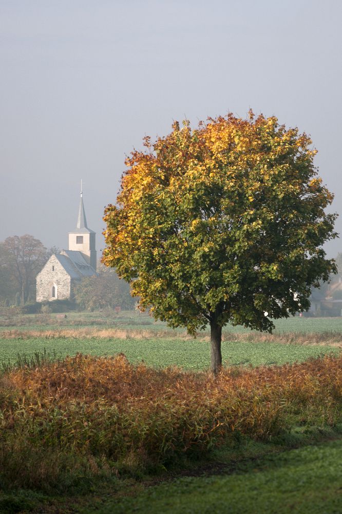 Autumn, how is it so?