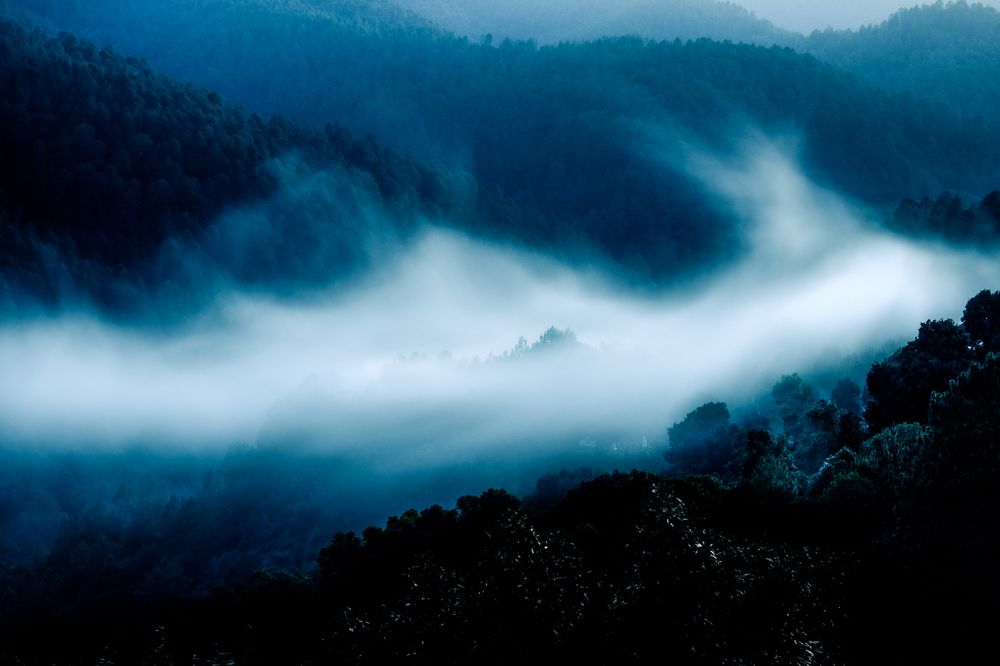 Photograph by Jose Antonio Flores Garcia