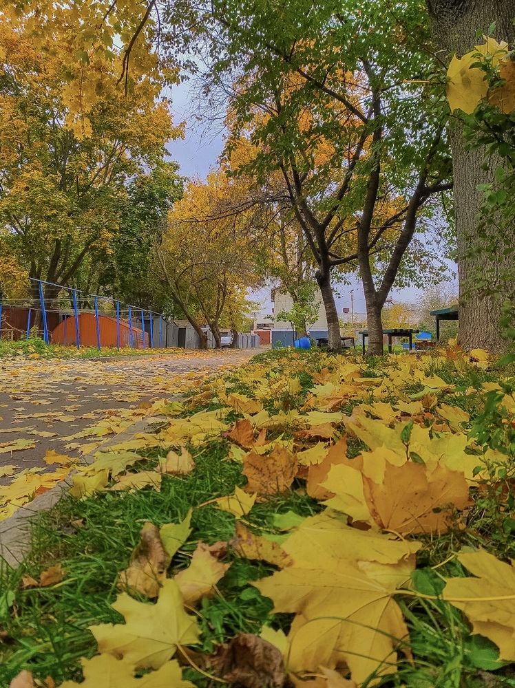 Photograph by Олег Якимчук