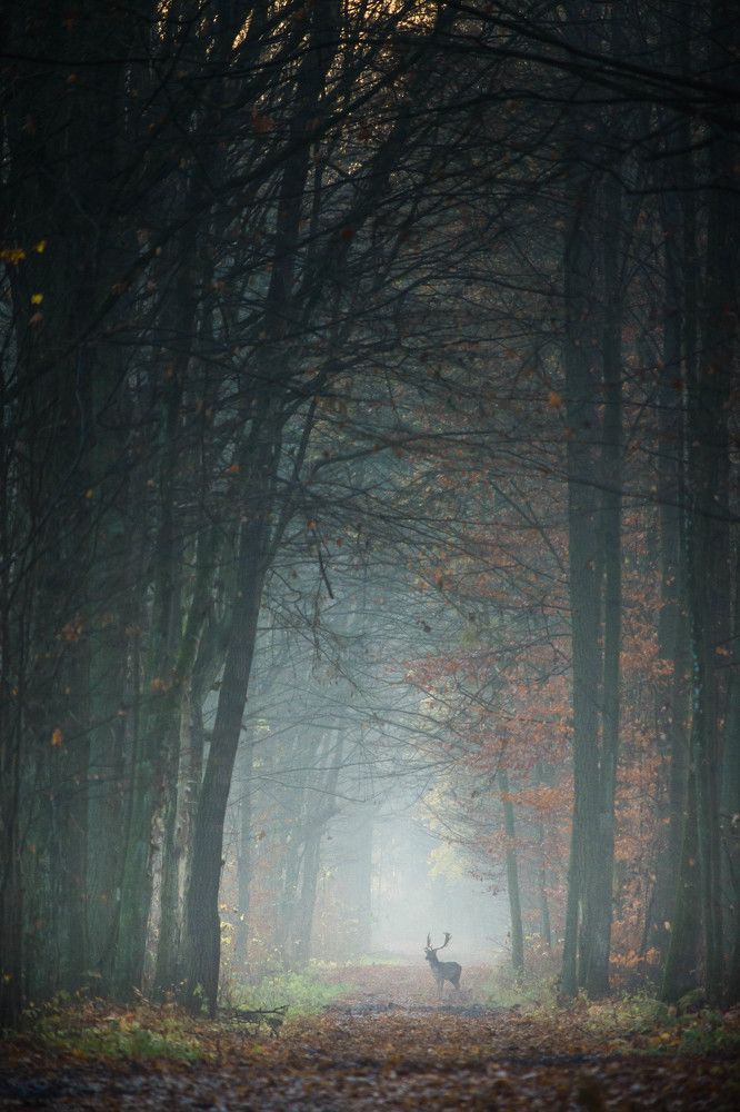 Photograph by Krzysztof Bozalek