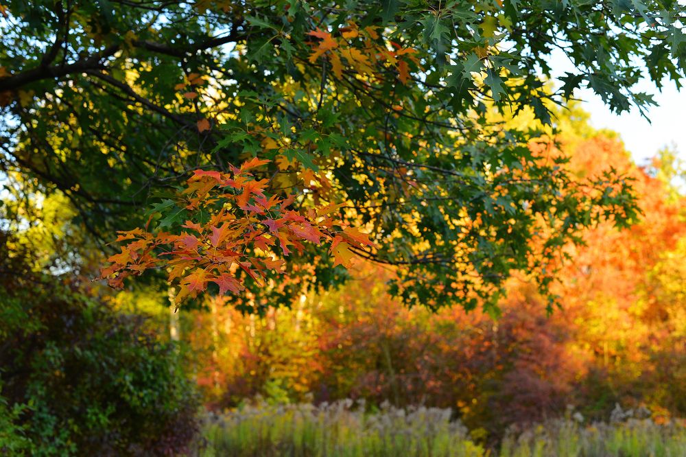Photograph by Виктория Гарькавенко