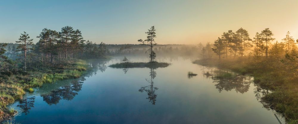 Photograph by Nikolai Mordan