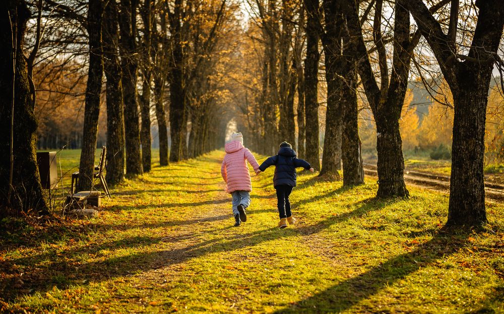 Осенний солнечный день