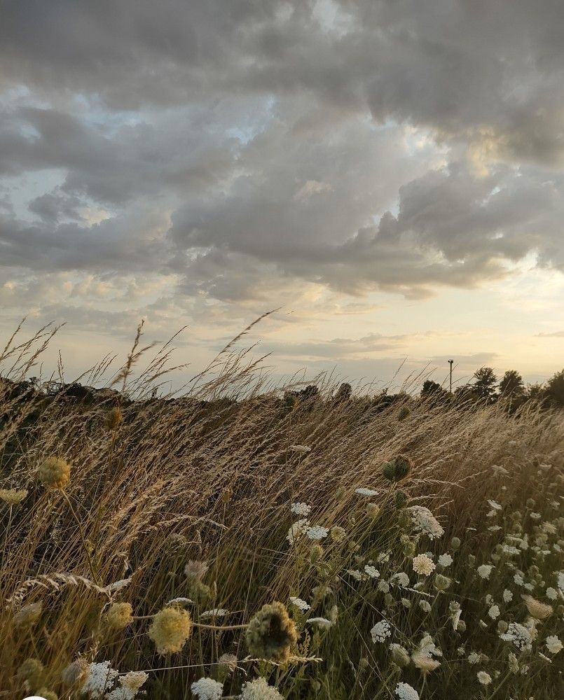 Photograph by Lina Invers