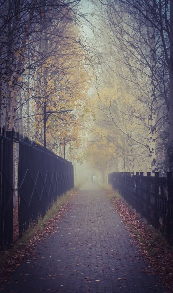 Photograph by Анна Дорофеева