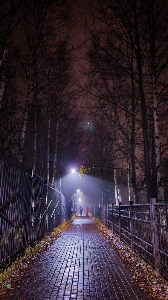 Photograph by Анна Дорофеева