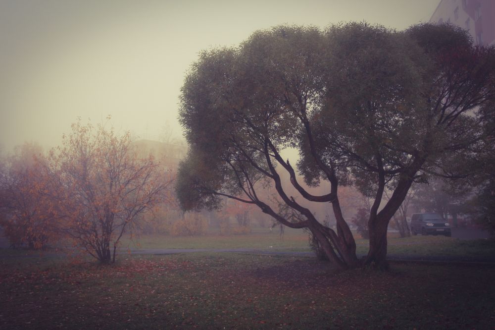 Photograph by Анна Дорофеева