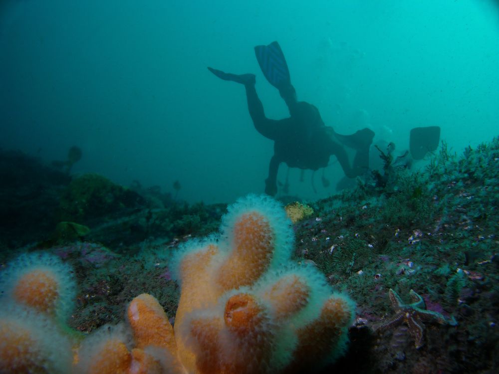 Photograph by Alexander