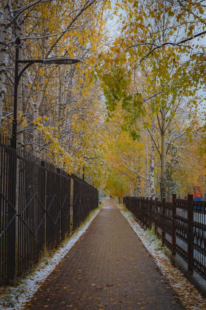 Photograph by Анна Дорофеева