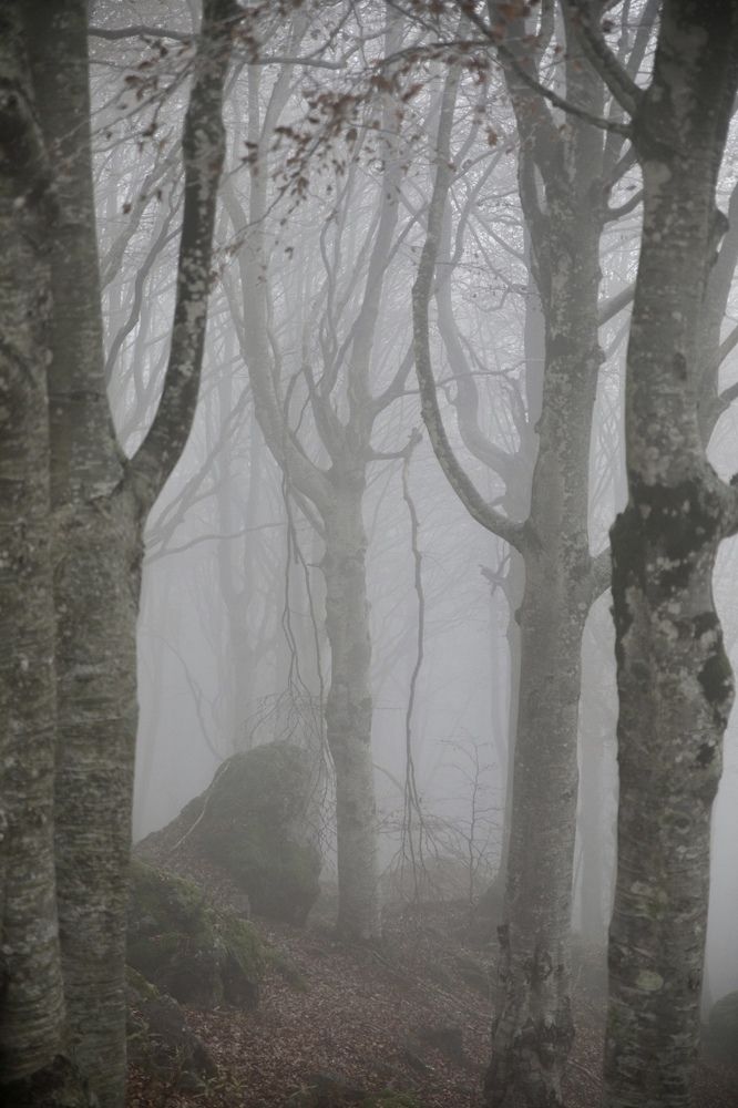 Photograph by Ольга Одаренко