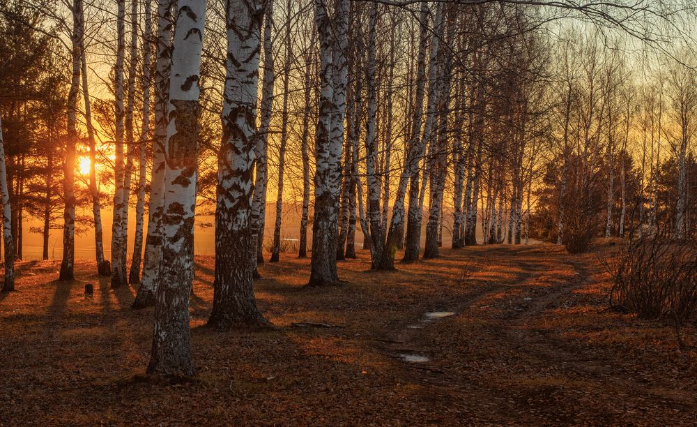 Фотография автора Александр Дюльгер