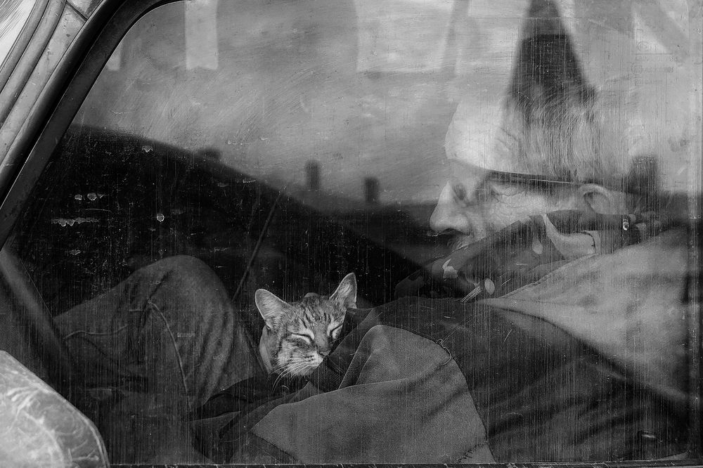 Photograph by Светлана Ульянова