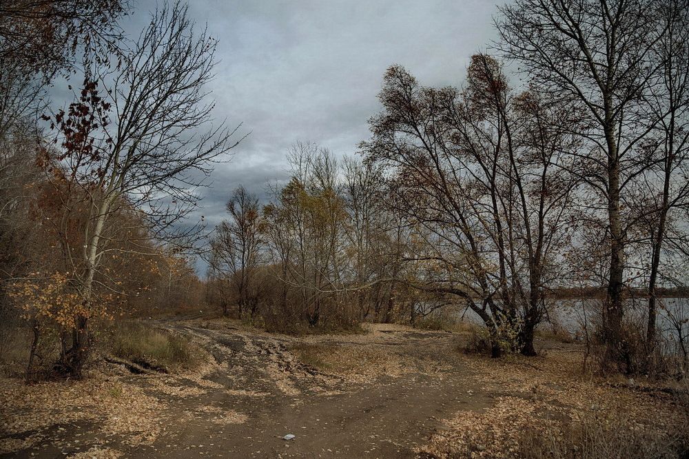 Photograph by Галина Чепиль