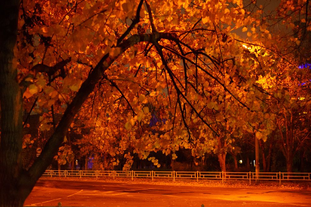 Photograph by Николай Багно