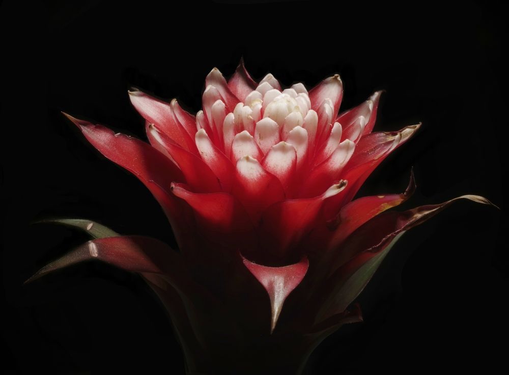 Photograph by Ahmad Alshawaf