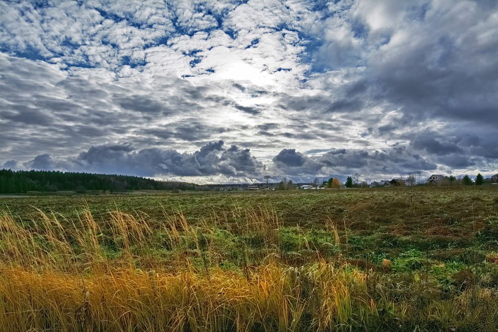 Русское поле