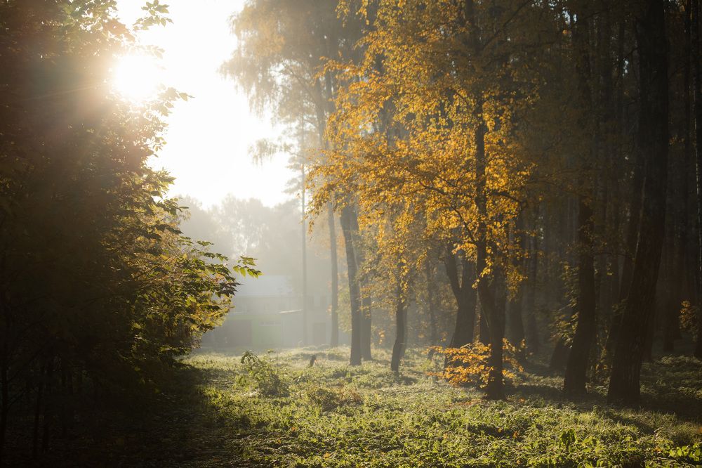 Photograph by Павел Трефилов