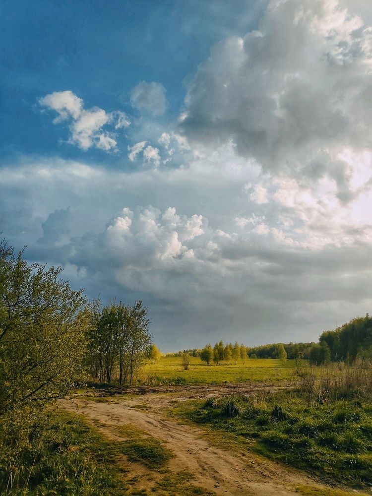 Перед дождём...