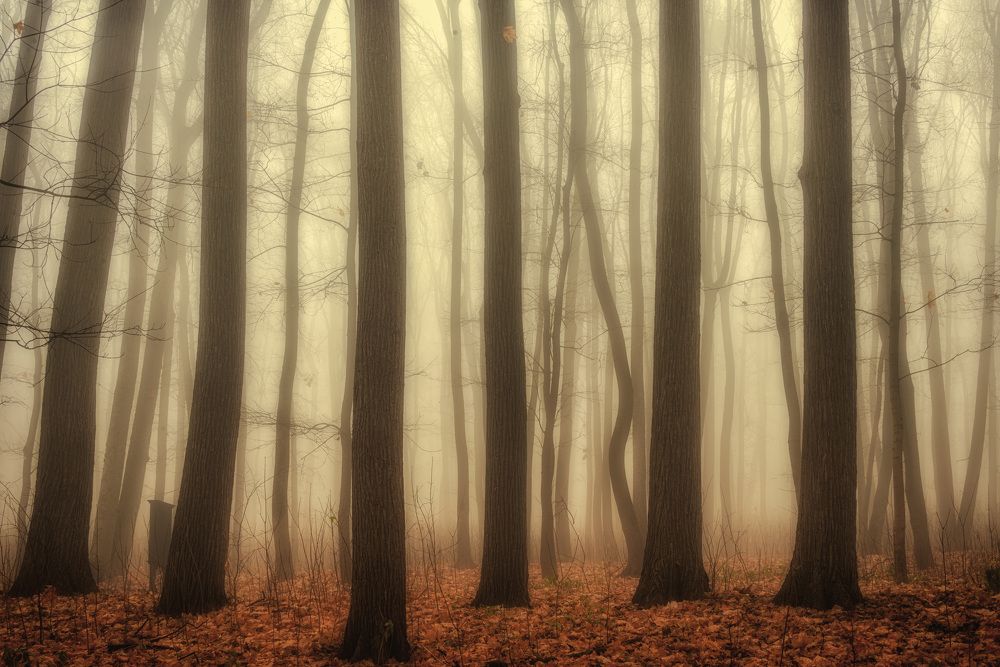 Photograph by Владимир Брагилевский