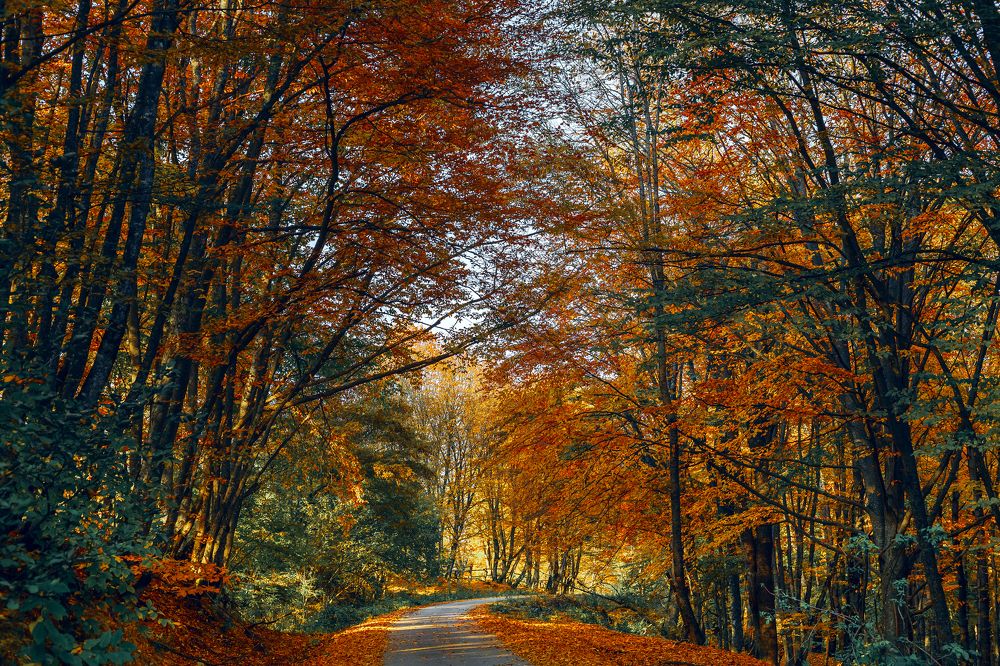 Photograph by Александр Слепцов