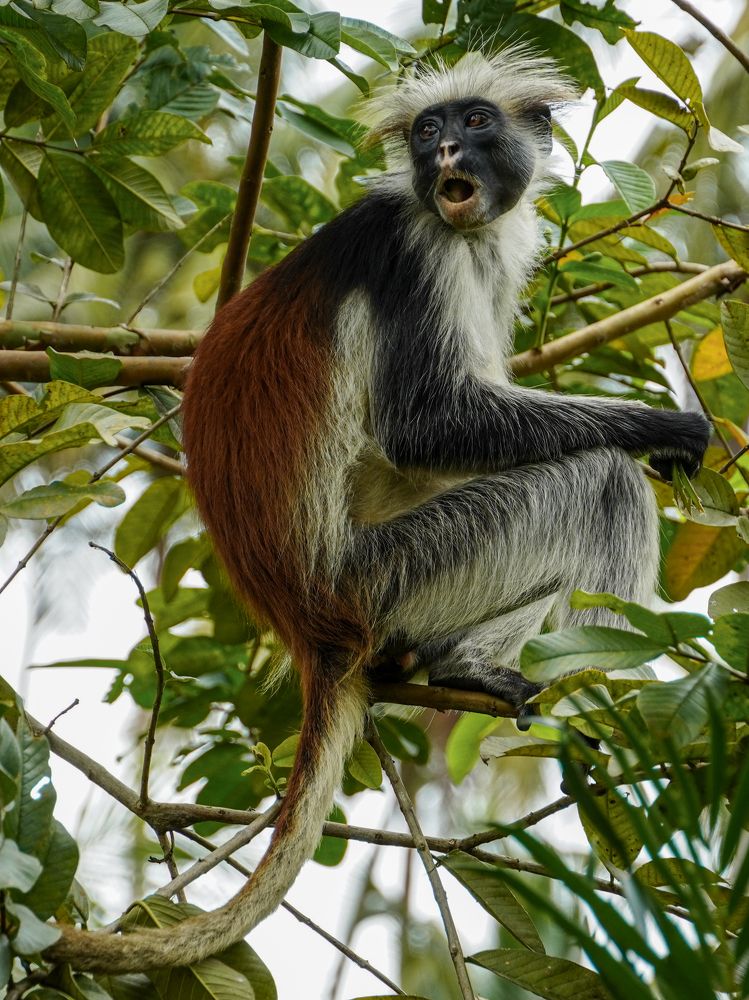 Photograph by Ольга Ларизадех