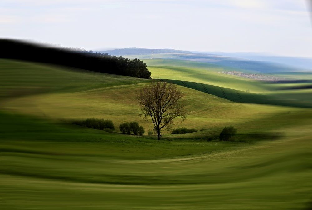 Photograph by Magdalena Kolenicova