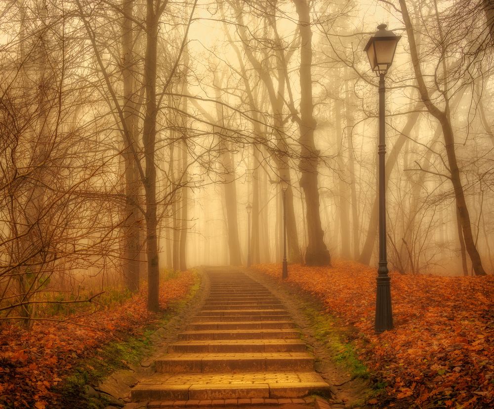 Photograph by Владимир Брагилевский