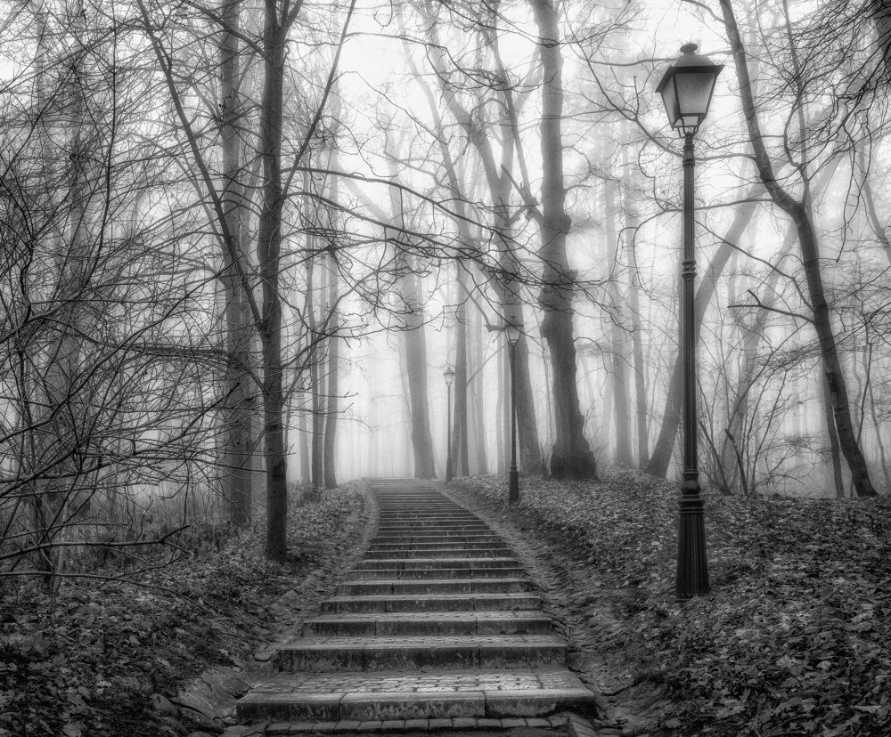 Photograph by Владимир Брагилевский