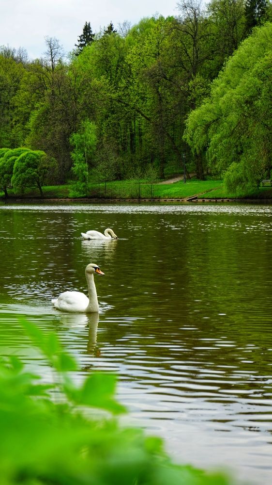 Фотография автора Slim Soyadi