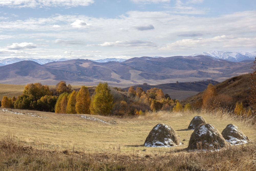 Photograph by Дериглазова Марина Владимировна